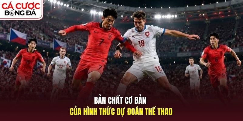 Bản chất cơ bản của hình thức dự đoán thể thao
