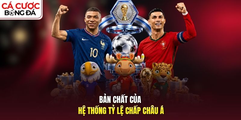 Bản chất của hệ thống tỷ lệ chấp châu Á