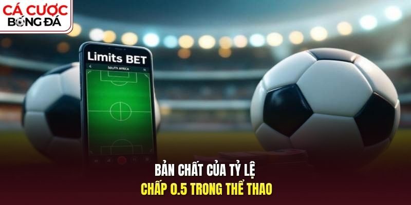 Bản chất của tỷ lệ chấp 0.5 trong thể thao