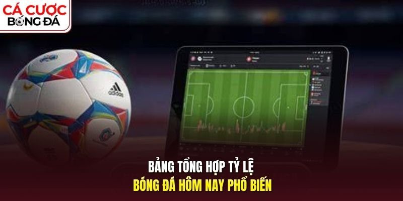 Bảng tổng hợp tỷ lệ bóng đá hôm nay phổ biến