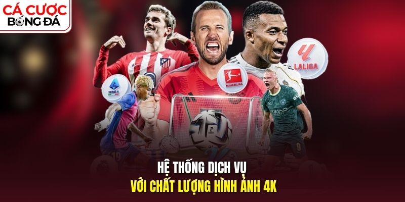 Hệ thống dịch vụ với chất lượng hình ảnh 4K