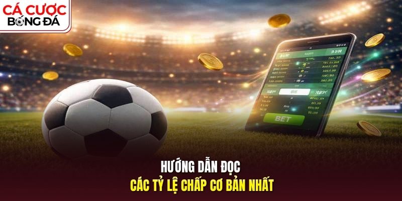 Hướng dẫn đọc các tỷ lệ chấp cơ bản nhất