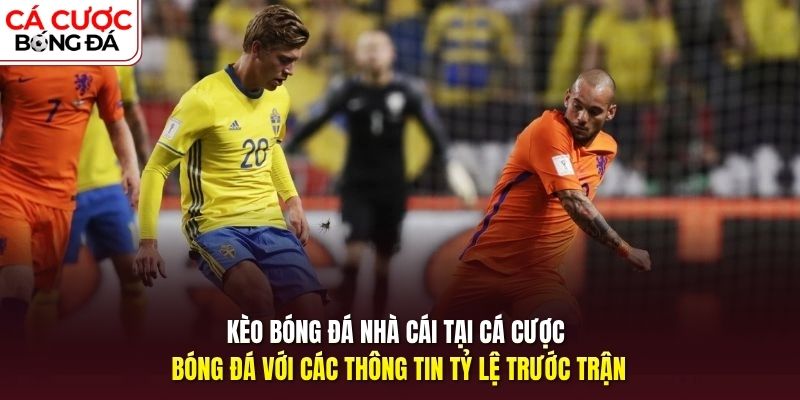Kèo bóng đá nhà cái tại Cá Cược Bóng Đá với các thông tin trước trận