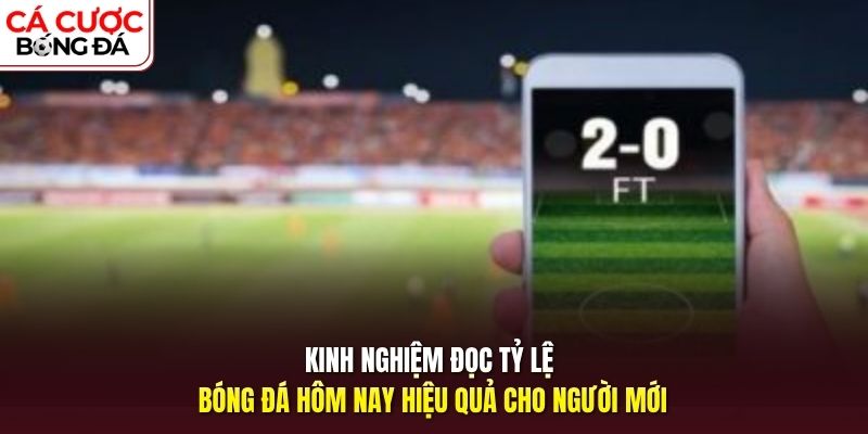 Kinh nghiệm đọc tỷ lệ bóng đá hiệu quả cho người mới