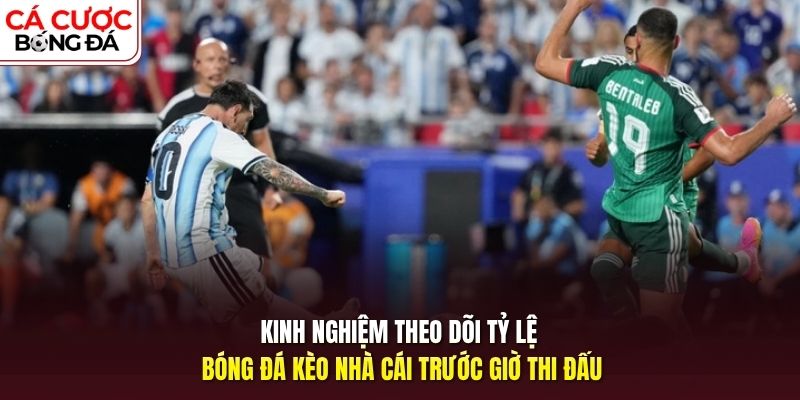 Kinh nghiệm theo dõi tỷ lệ bóng đá kèo nhà cái trước giờ thi đấu