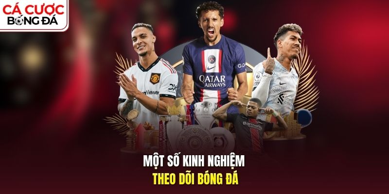 Một số kinh nghiệm theo dõi bóng đá