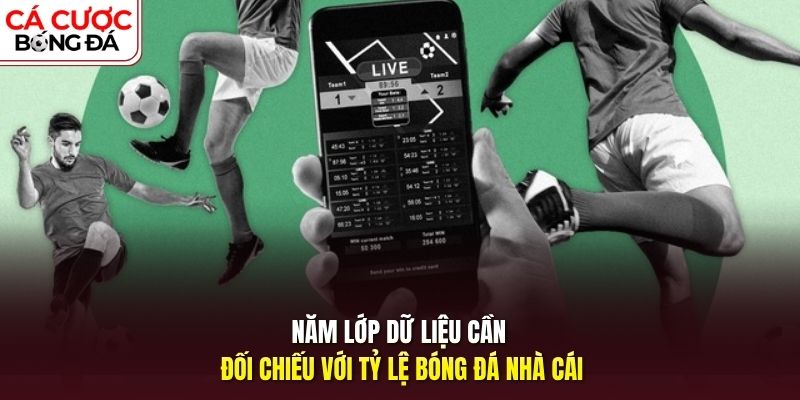 Năm lớp dữ liệu cần đối chiếu với tỷ lệ bóng đá nhà cái