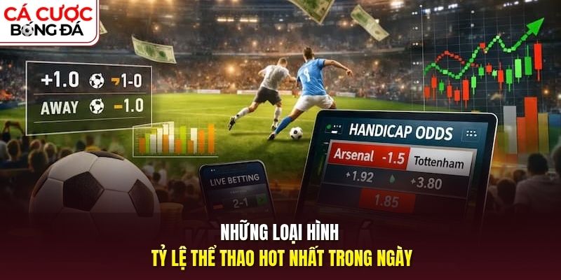 Những loại hình tỷ lệ thể thao hot nhất trong ngày