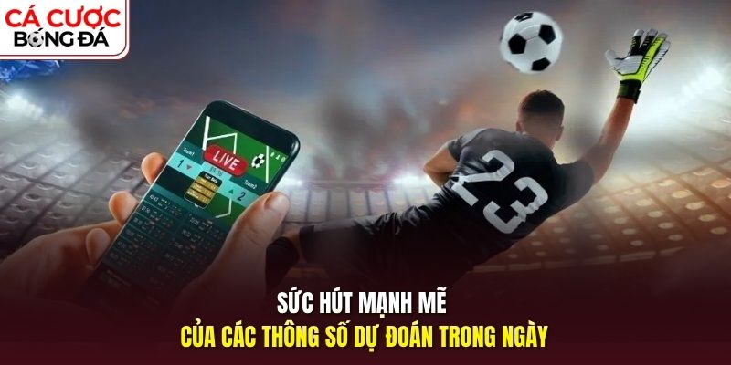 Sức hút mạnh mẽ của các thông số dự đoán trong ngày
