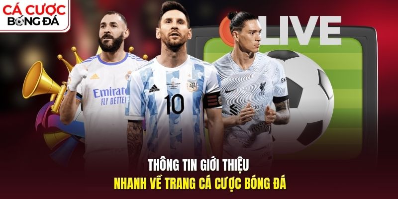 Thông tin giới thiệu nhanh về trang cá cược bóng đá