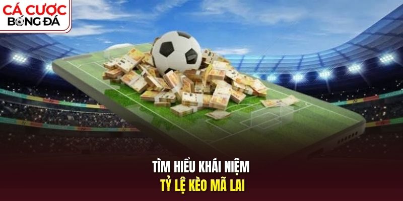 Tìm hiểu khái niệm tỷ lệ kèo Mã Lai