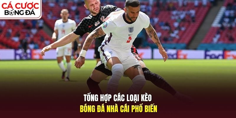 Những loại kèo phổ biến cho người mới tham khảo