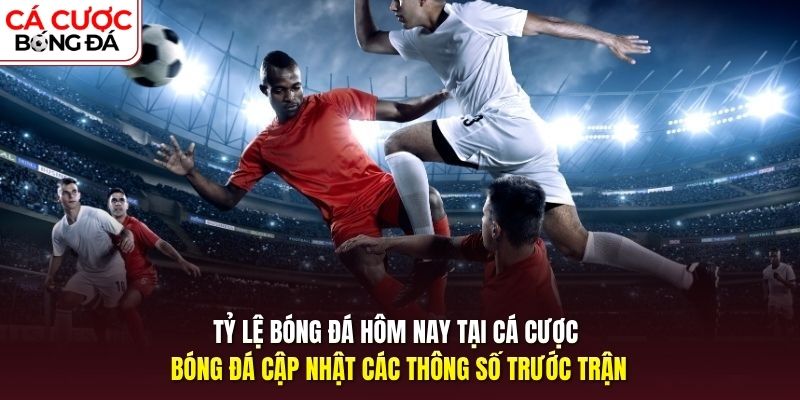 Tỷ lệ bóng đá hôm nay tại cá cược bóng đá thông số trước trận