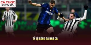Tỷ lệ bóng đá nhà cái