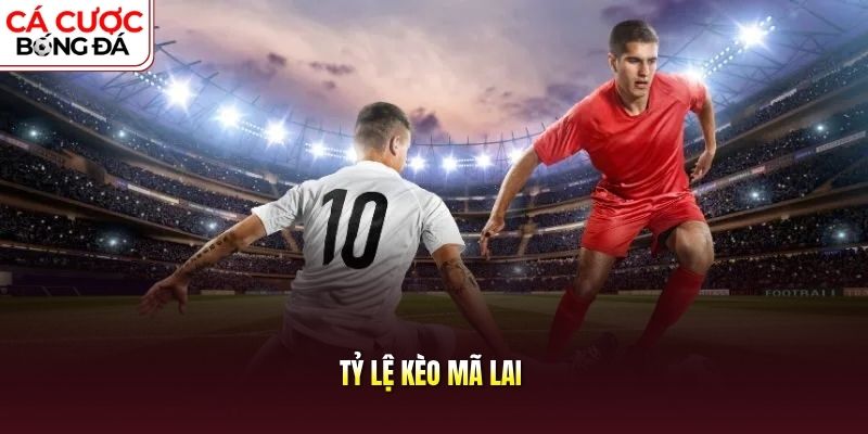 Tỷ lệ kèo Mã Lai
